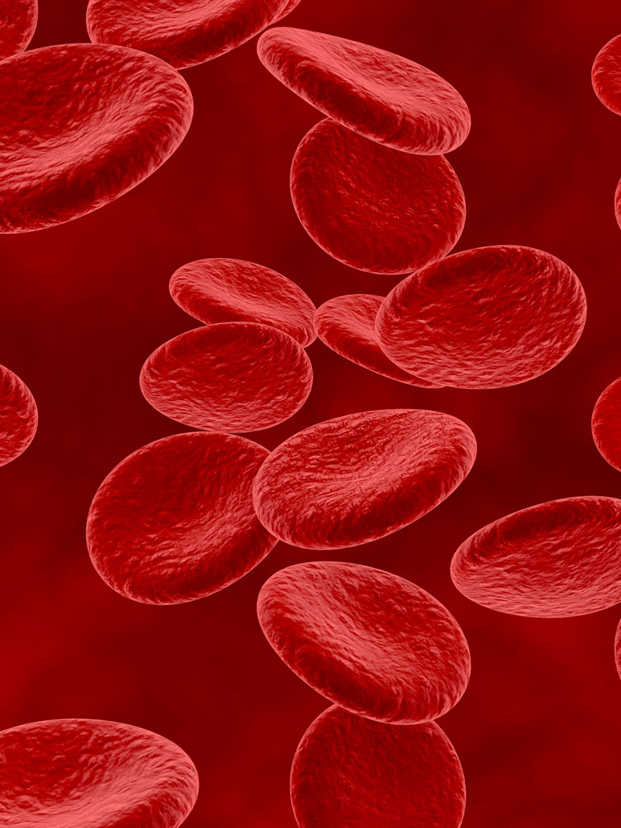 chi-siamo-red-blood-cells